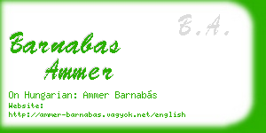 barnabas ammer business card